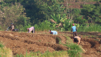 Vano Bastar Chandan Agri Private Limited 